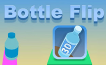 Bottle Flip 3d Game, Play Online